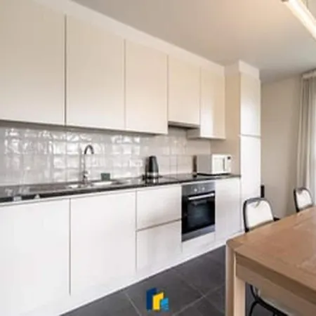 2br With Terrace Near Apartamento Blankenberge